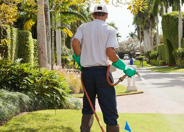 About Westtown NY Pest Control Pros